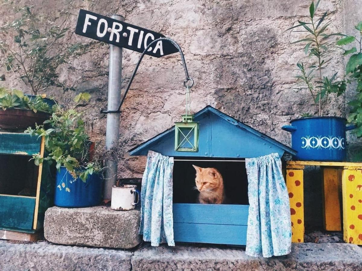 Apartment Terra Magica In Istria Peroj Zewnętrze zdjęcie